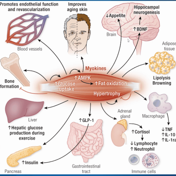 Episode 10 Postcast cover image