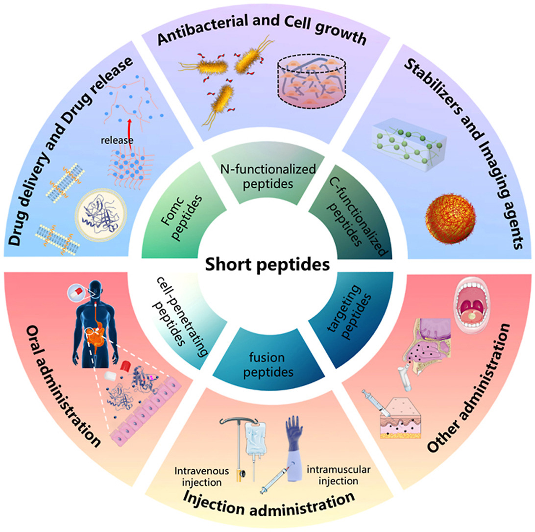 Peptide Therapy | WIFM